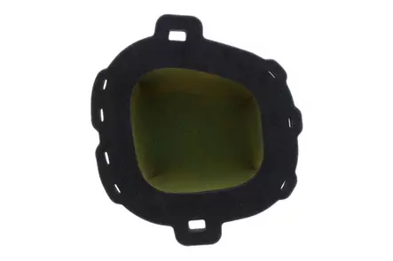 Ilmansuodatin Twin Air Pre Oiled, Honda CRF450 21-24 - Motocross Suodattimet - 3883 - 3
